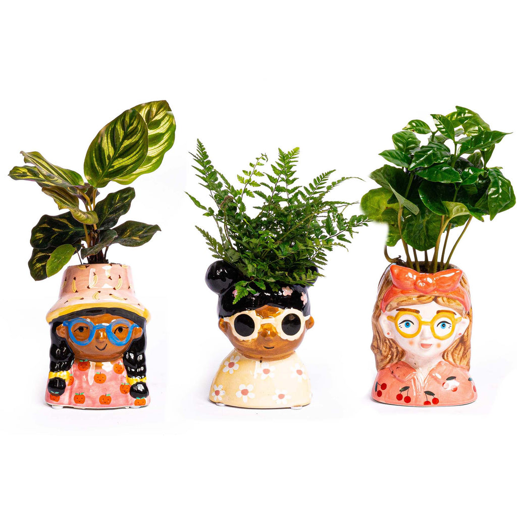 Mini Flower Pot Multi Color – Mini Jill - ↑ 10.2 cm - Face Head