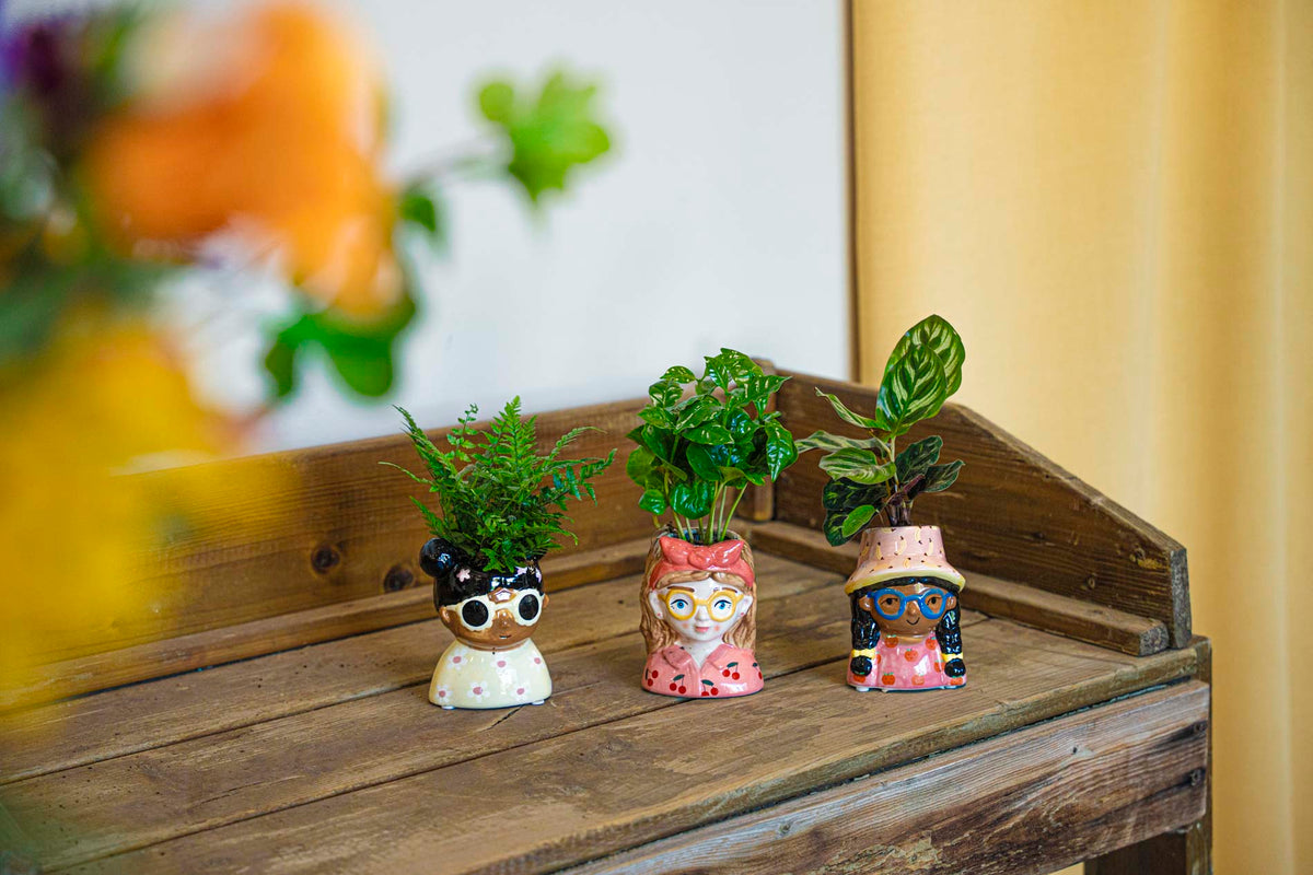 Mini Flower Pot Multi Color – Mini Jill - ↑ 10.2 cm - Face Head