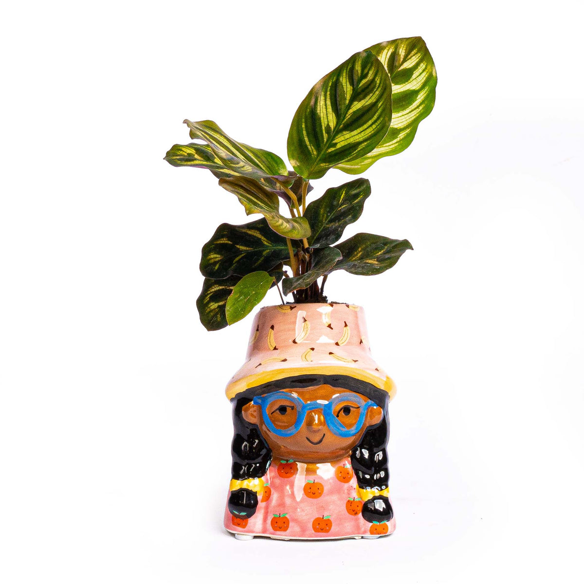 Mini Flower Pot Multi Color – Mini Jill - ↑ 10.2 cm - Face Head